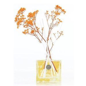 Ashleigh & Burwood Reed Diffuser Orange Blossom & Mandarin