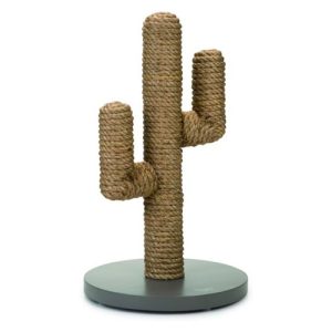 Cactus krabpaal