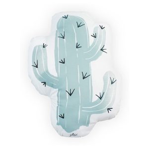 Cactus kussen