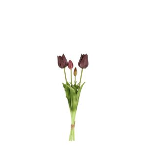 Countryfield bos Tulpen Greigii Paars 45 cm