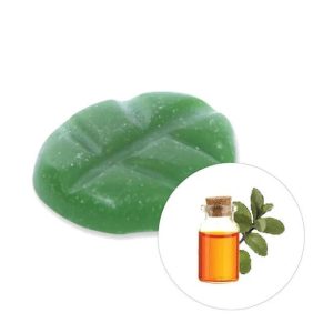 Scentchips Box M 13 stuks Musk & Patchouli