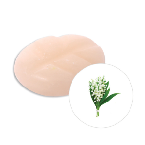 Scentchips Box M 13 stuks Lily of the Valley