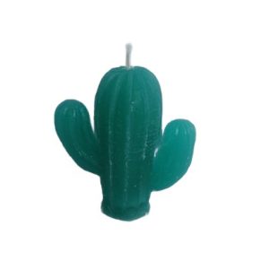 Cactus kaars granny smith geur